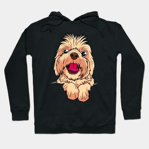 Cute Yorkshire Terrier Face Hoodie by ReaBelle